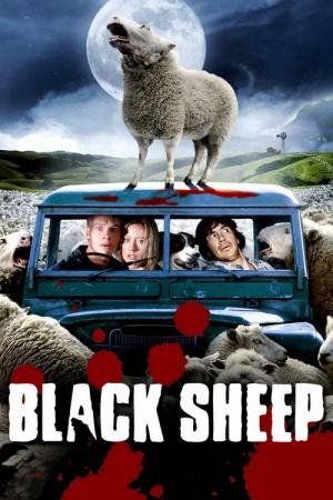 Black Sheep 