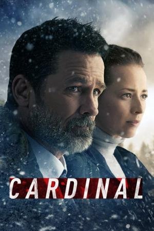 Cardinal 